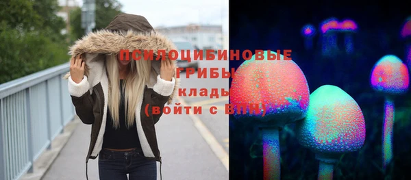 spice Армянск