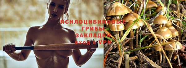 гашиш Арсеньев